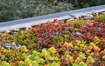 the cost of Broad Colney green roof installation