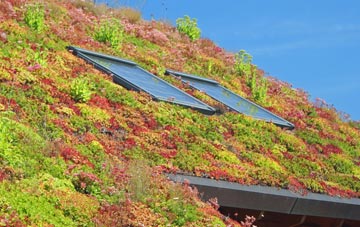 Broad Colney living roof systems